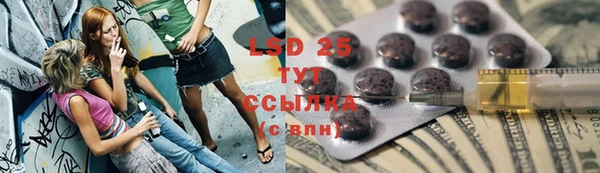 дмт Верея