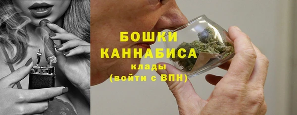 МДПВ Горнозаводск