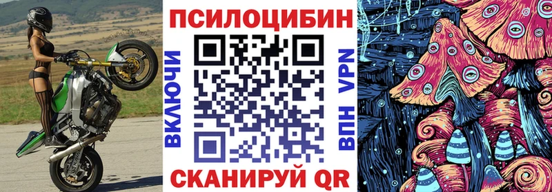 Галлюциногенные грибы MAGIC MUSHROOMS  закладки  Жирновск 